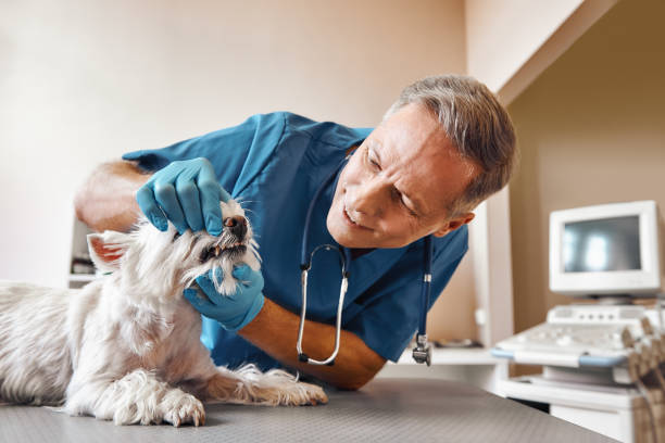 Best 24-Hour Emergency Dental Care in Port Lavaca, TX